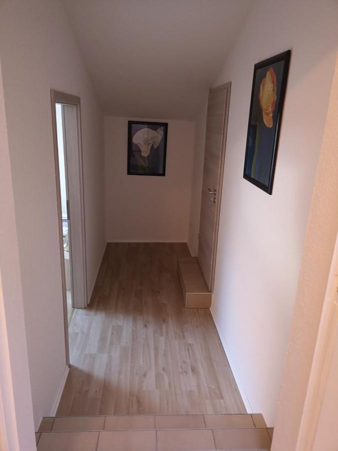 Ferienhaus Seedo Herleshausen エクステリア 写真
